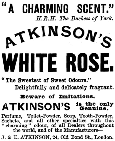 1895 Atkinsons White Rose
