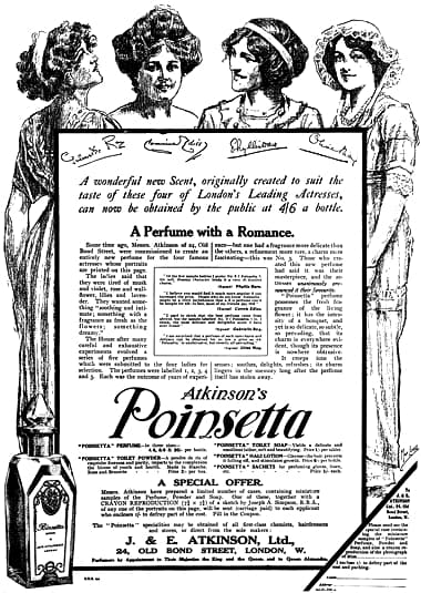 1911 Atkinson Poinsetta