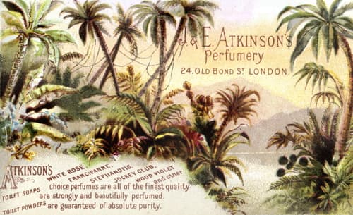 Atkinsons Perfumery
