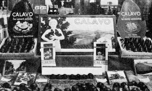 1932 Californian Calavo Avocados