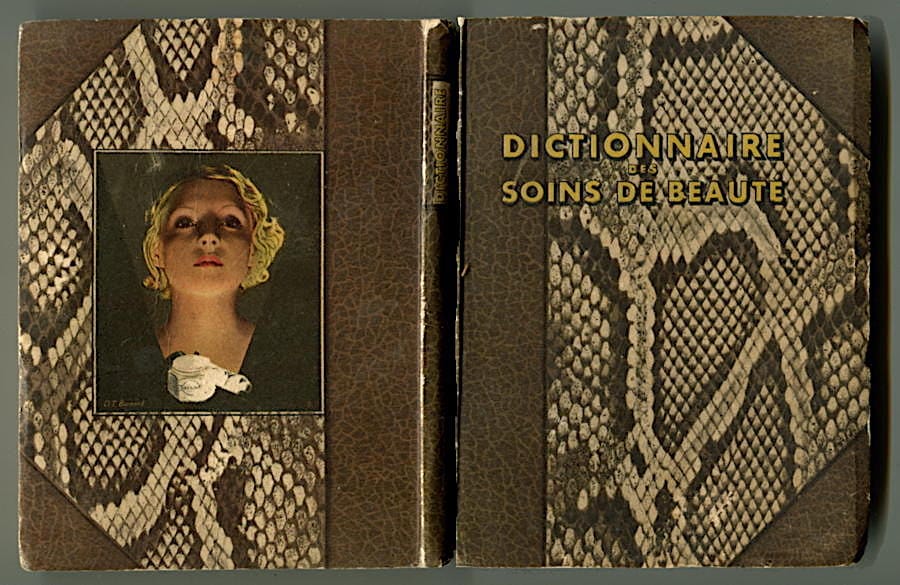Dictionnaire soins de beaute cover